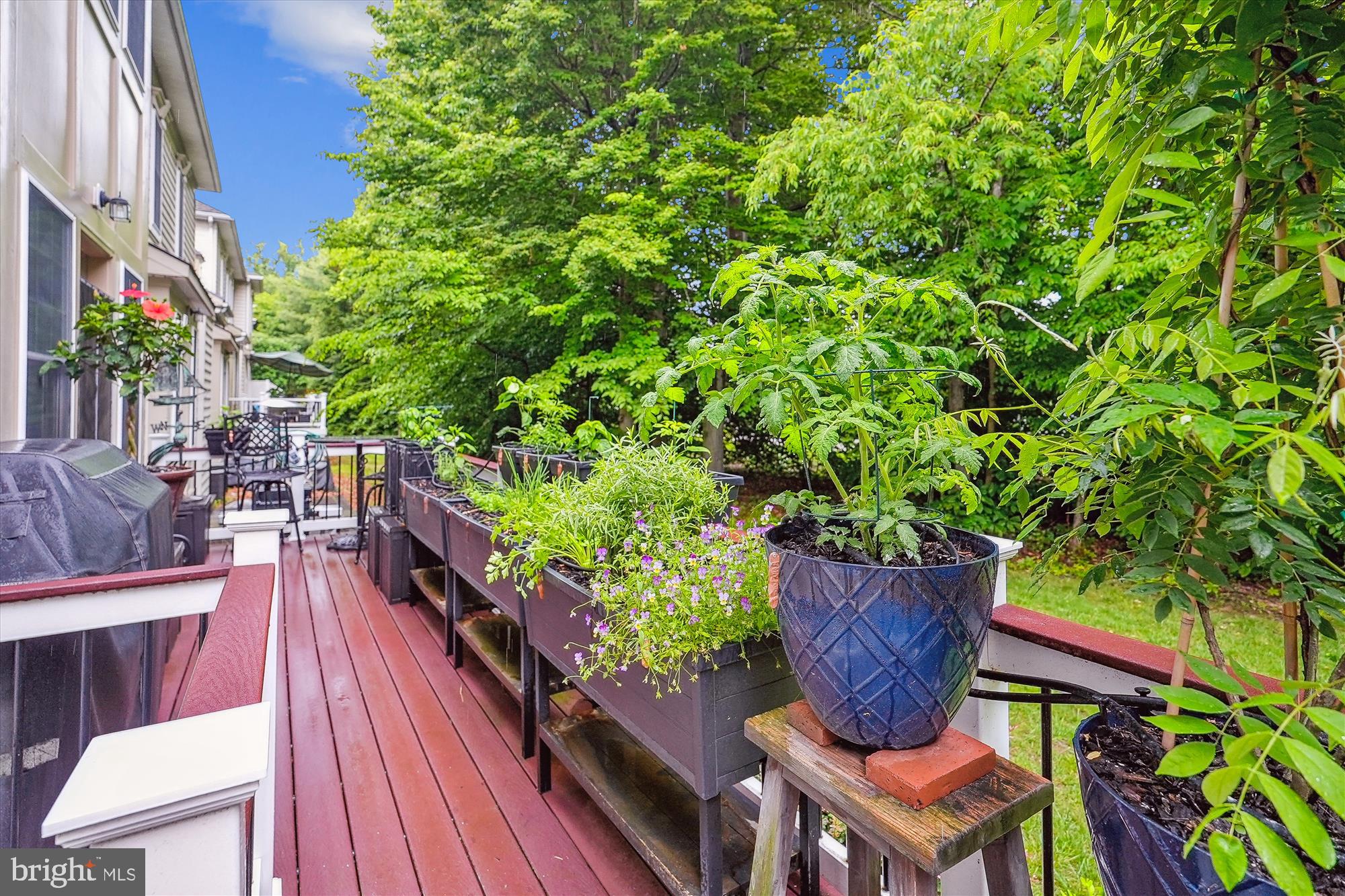 47666 Paulsen Square Sterling, VA 20165 - Photo 34 of 92 Deck