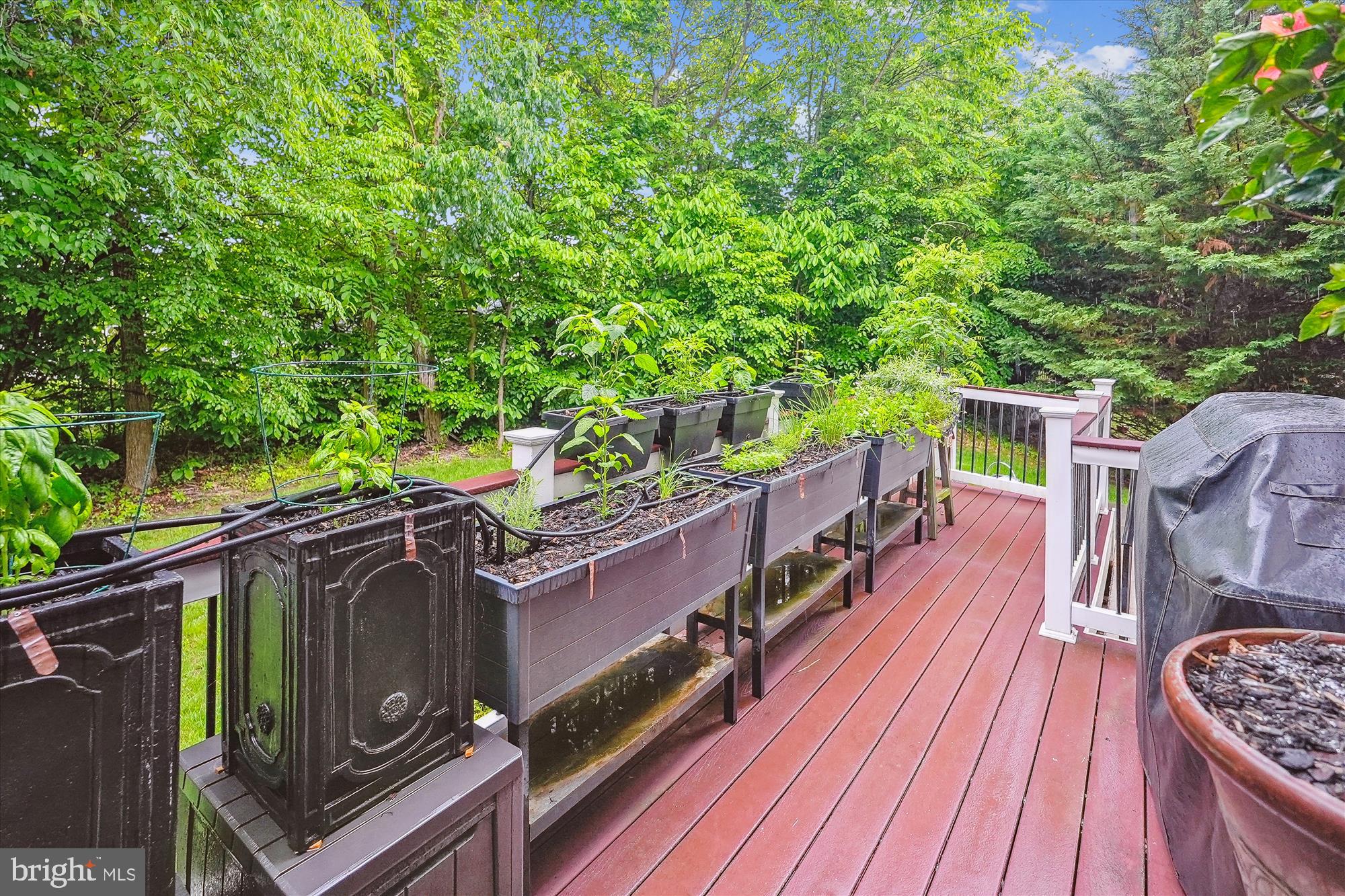 47666 Paulsen Square Sterling, VA 20165 - Photo 36 of 92 Deck