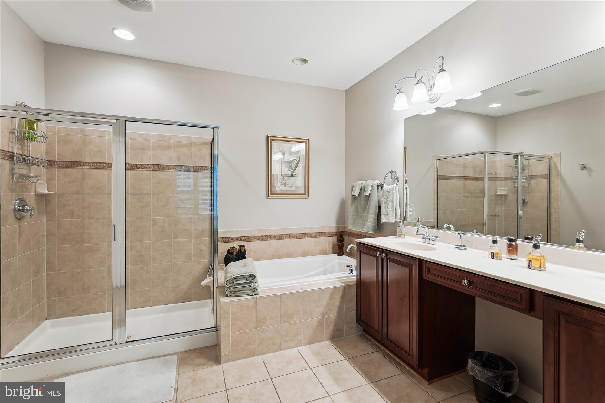 47666 Paulsen Square Sterling, VA 20165 - Photo 51 of 92 Primary Bath