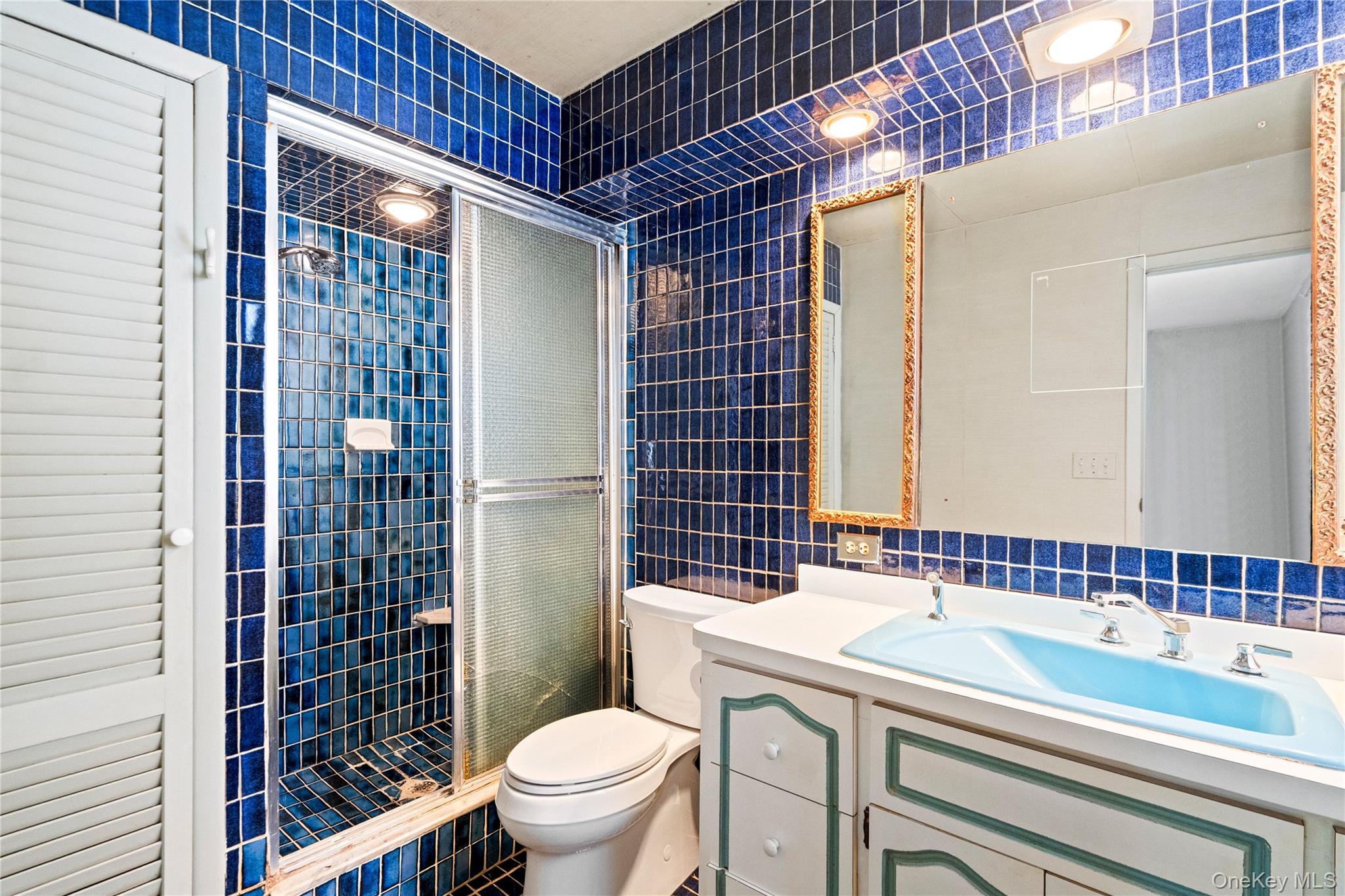 15 Springwood Path Syosset, NY 11791 - Photo 19 of 32 Primary Bath