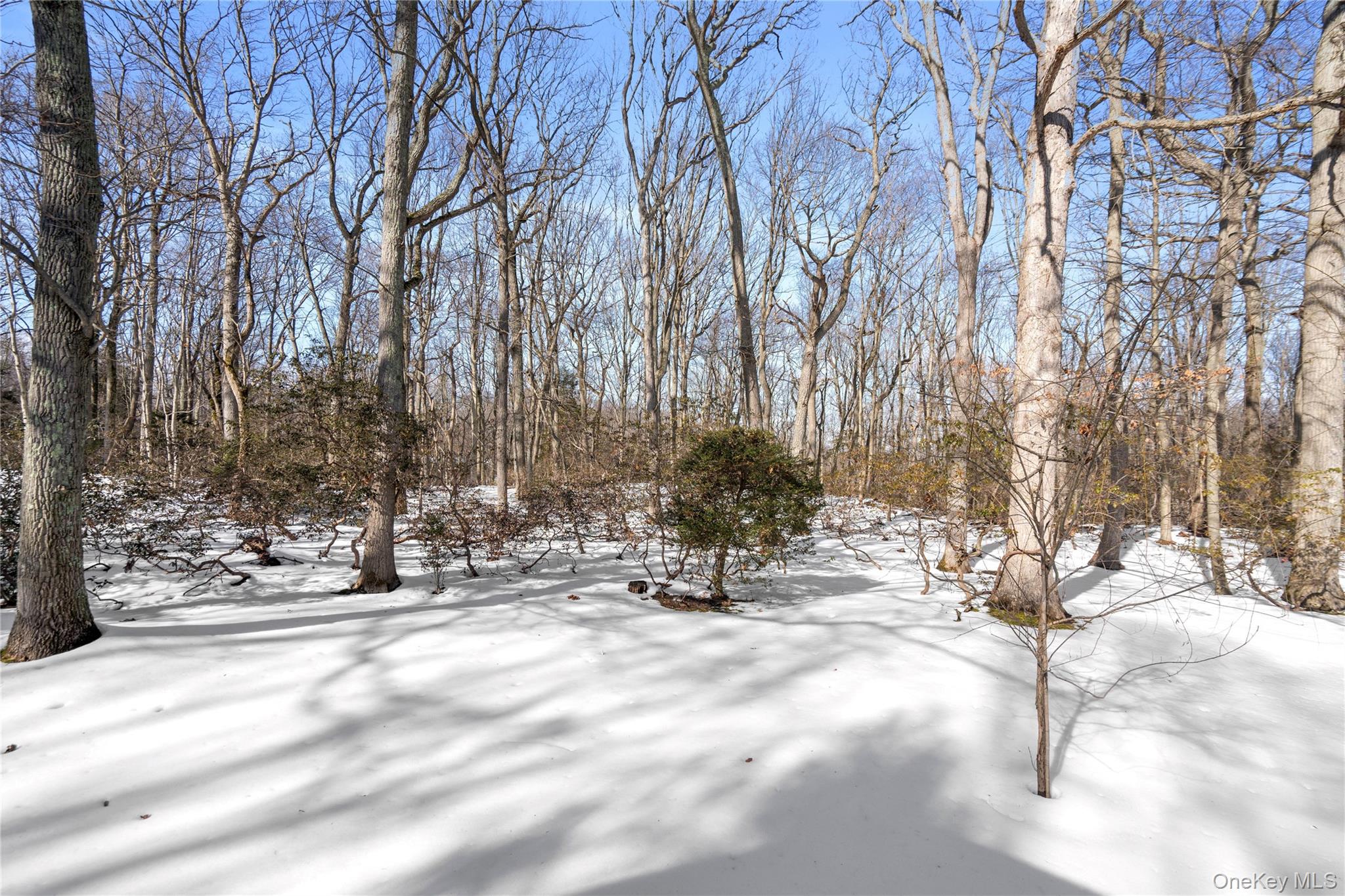 15 Springwood Path Syosset, NY 11791 - Photo 29 of 32 Stunning Backyard!!