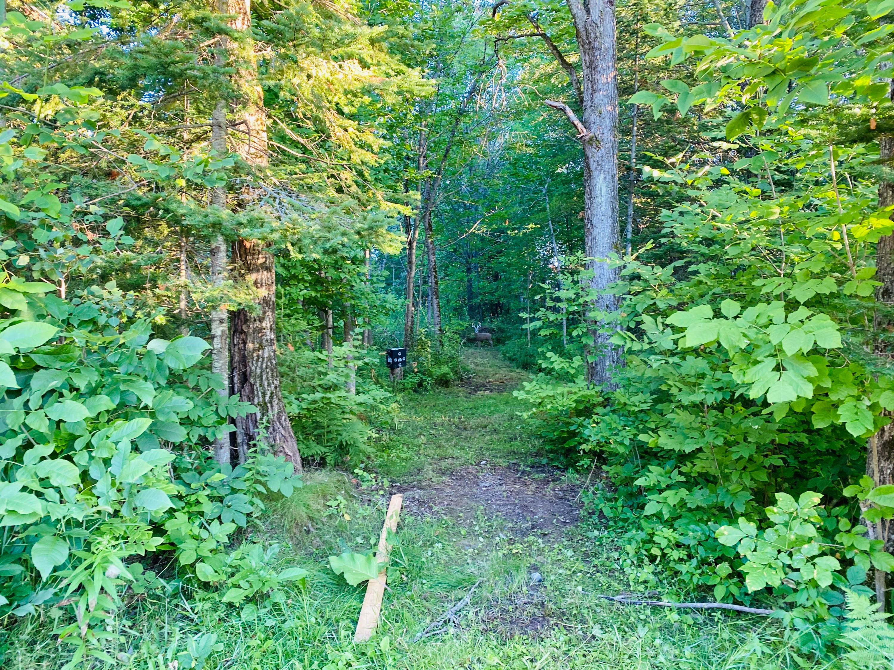 7613 South Ridge Road Sault Ste. Marie, MI 49783 - Photo 22 of 115 Gallery Image 22