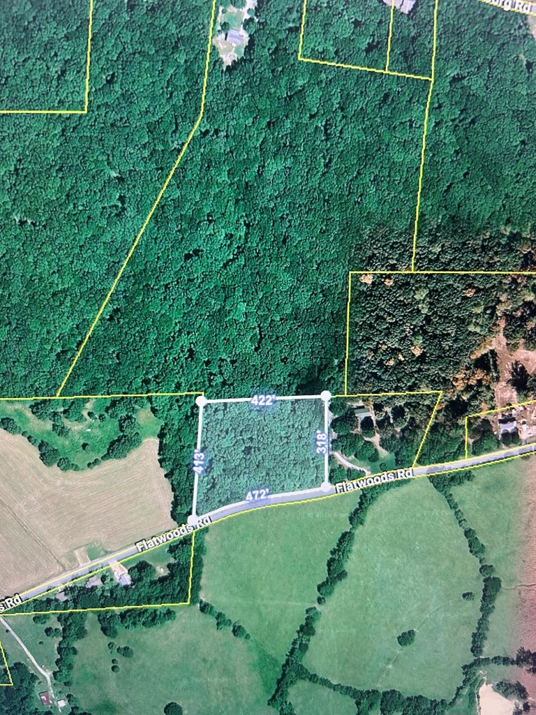 0 Flatwoods Road Camden, TN 38320 - Photo 2 of 3 a view of a field with plants