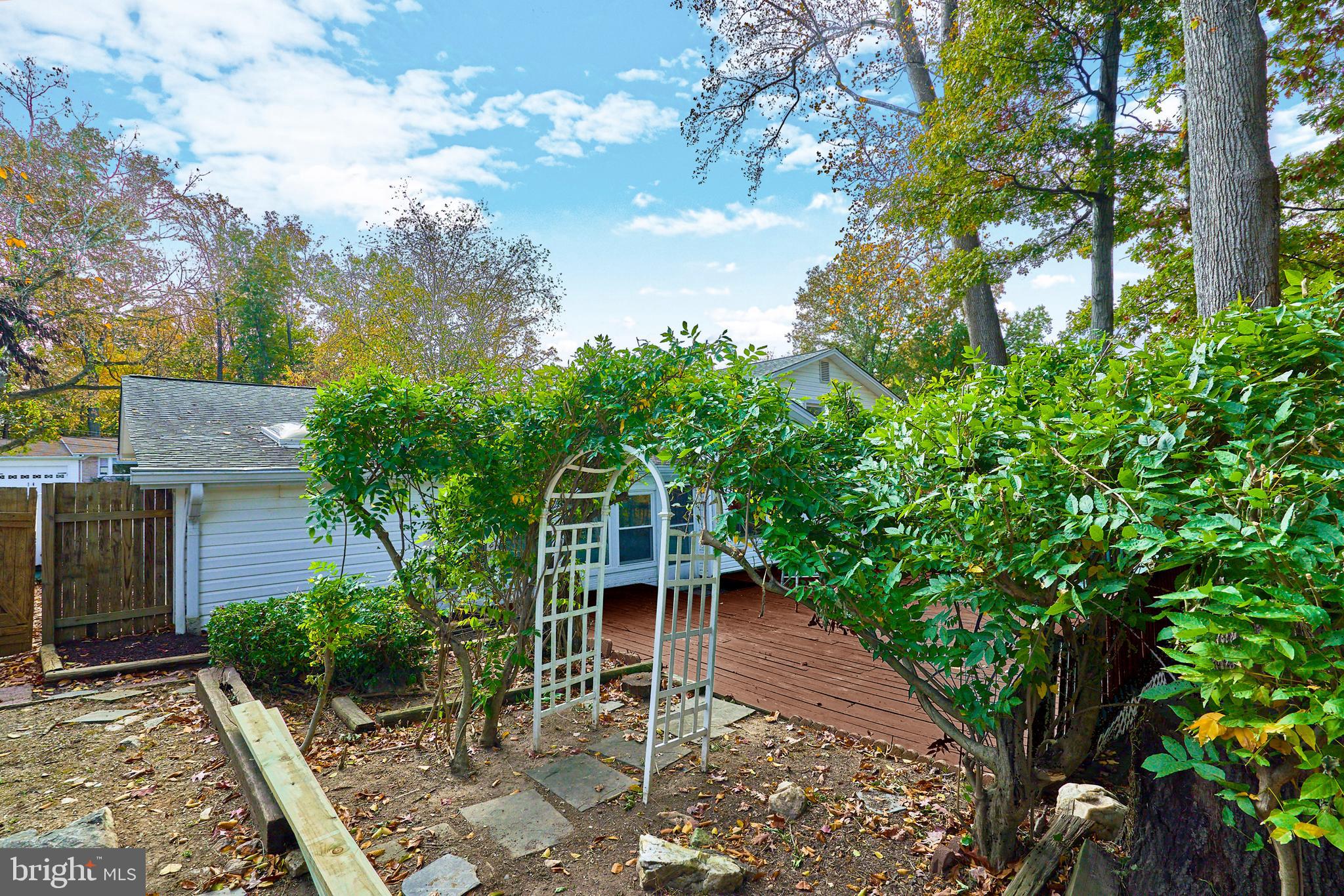 8120 Old Oaks Drive Springfield, VA 22152 - Photo 56 of 57 Lovely Koi pond and arched Wisteria vine