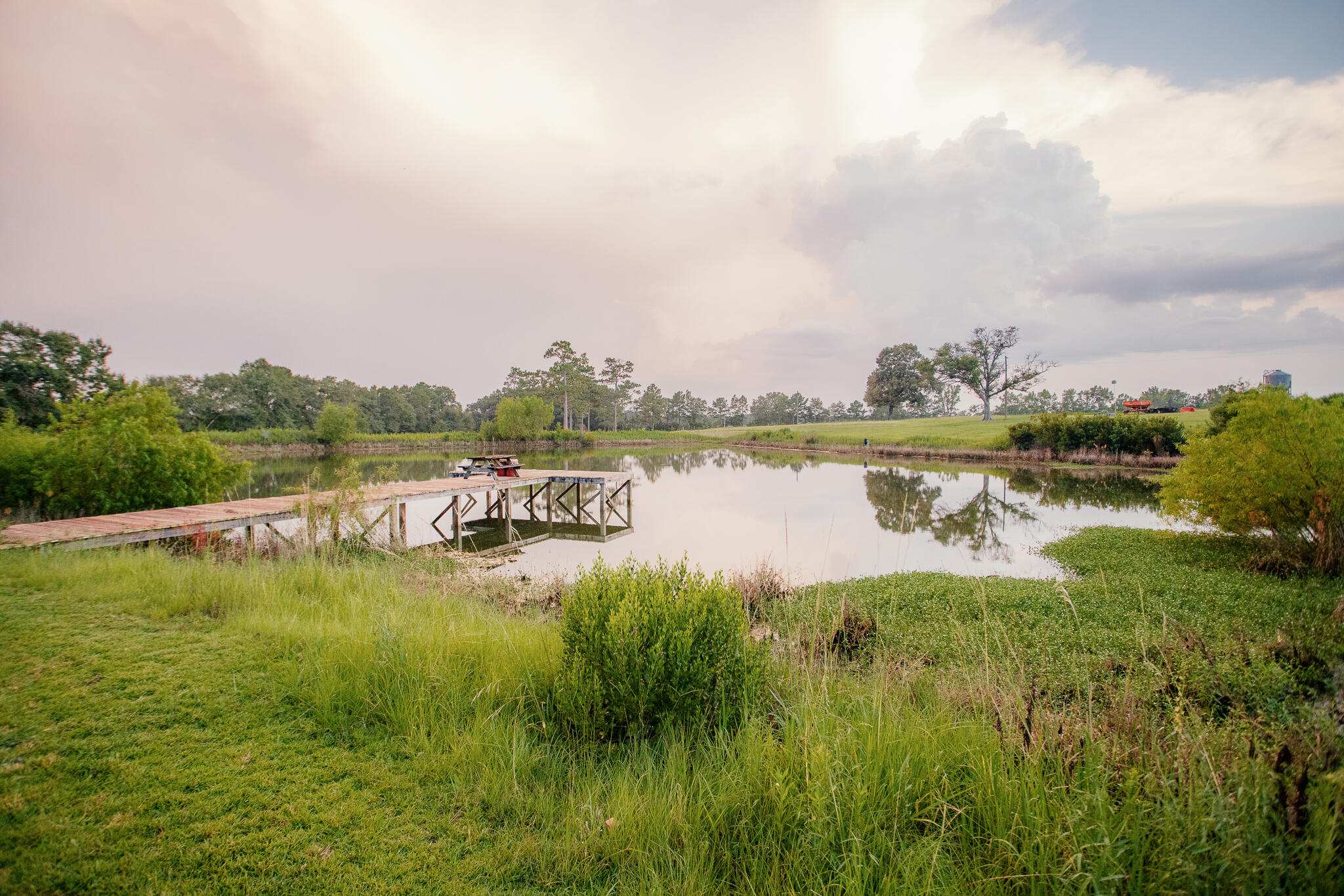 8416 Ludlum Road Laurel Hill, FL 32567 - Photo 4 of 50 8416 Ludlam Rd-12