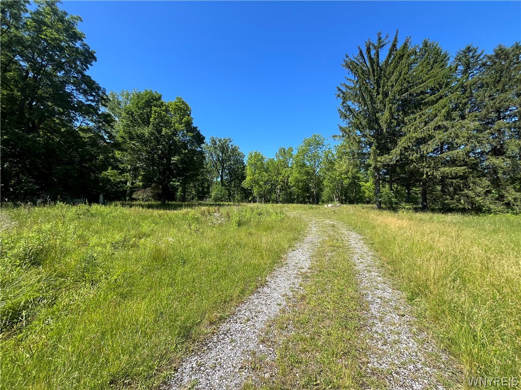 4880 Ransom Road Clarence, NY 14031 - Photo 21 of 42 Gallery Image 21