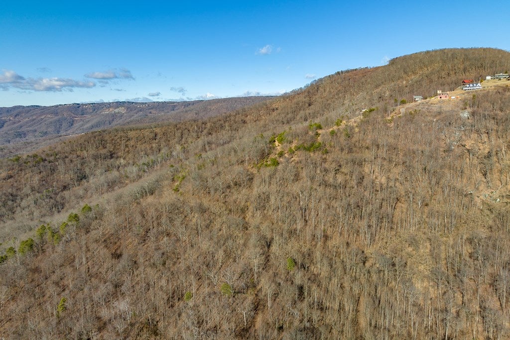 Lot 93 Reflections Point Trail, Unit 93 Fancy Gap, VA 24328 - Photo 24 of 92 Gallery Image 24
