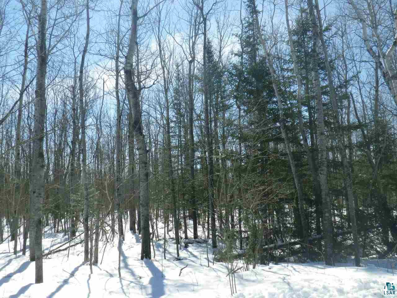 Two Hermanson Road Two Harbors, MN 55616 - Photo 3 of 13