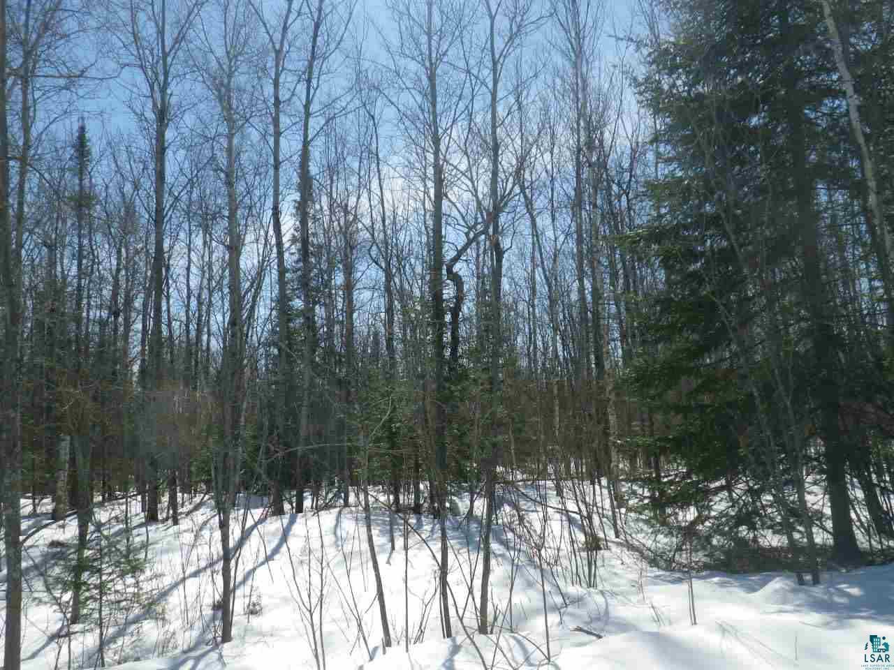 Two Hermanson Road Two Harbors, MN 55616 - Photo 5 of 13