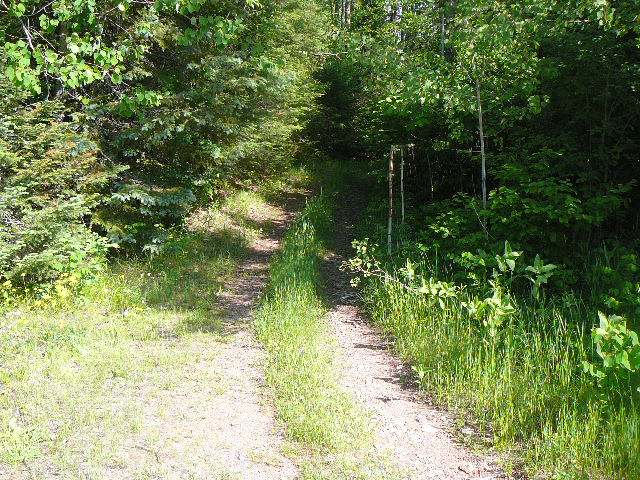 On West Road Butternut, WI 54514 - Photo 1 of 5 Gallery Image 1