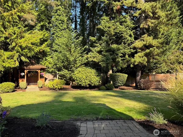 a view of a backyard with plants and large trees