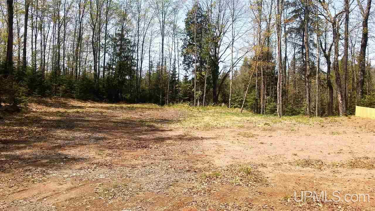 7618 Lake 6 Road, Unit PARCEL B Butternut, WI 54514 - Photo 8 of 13 Gallery Image 8