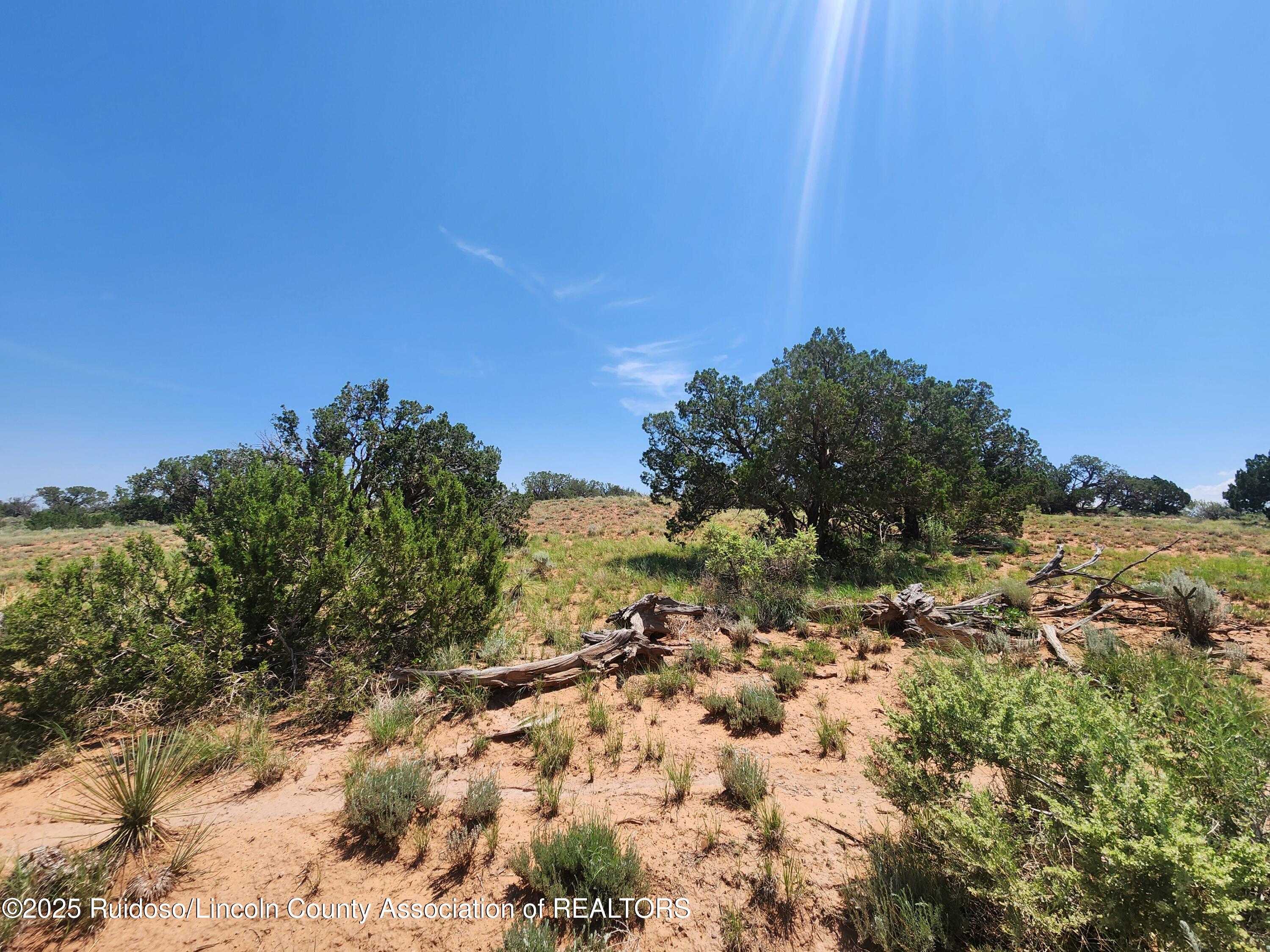 312 Windmill Road Carrizozo, NM 88301 - Photo 12 of 70 Gallery Image 12