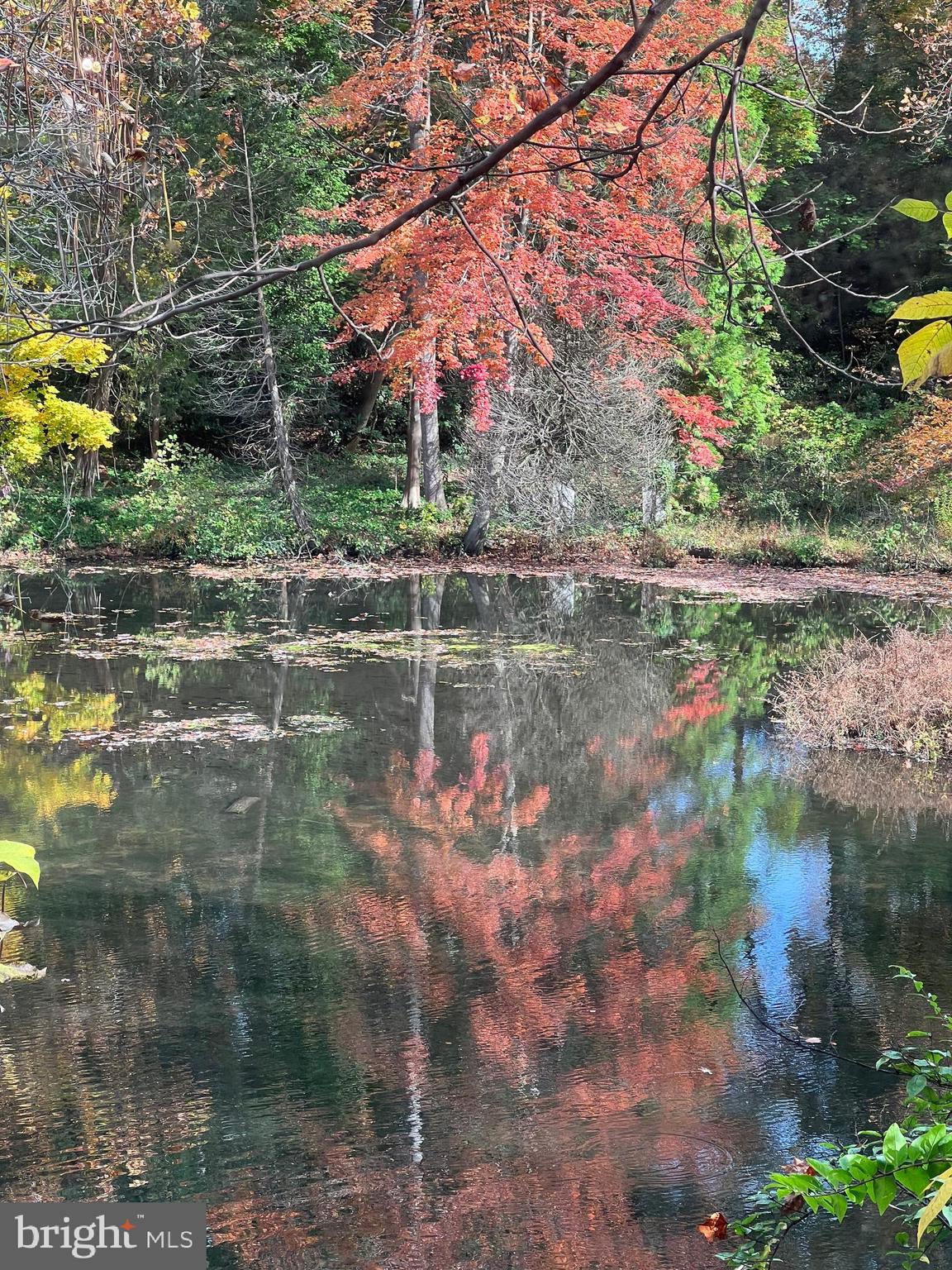 445 Lake Boulevard Lindenwold, NJ 08021 - Photo 27 of 28