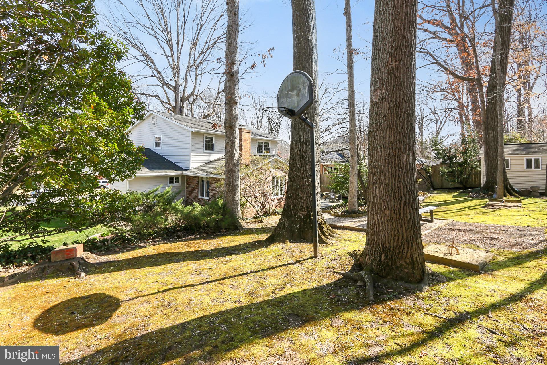 8920 Victoria Road Springfield, VA 22151 - Photo 41 of 49 Mature trees and basketball hoop