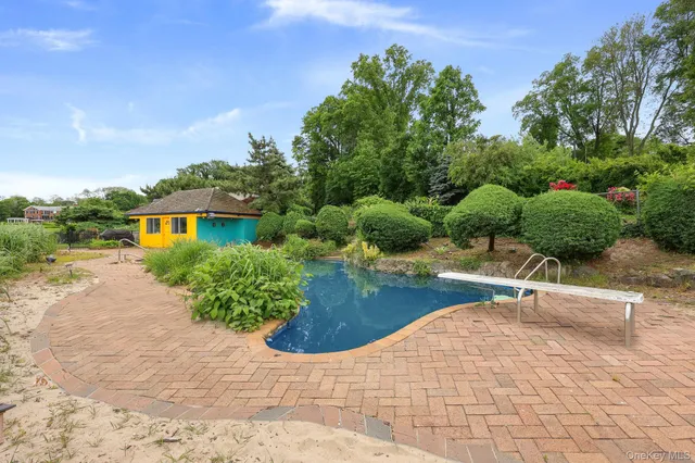 a view of a backyard with plants and palm tree