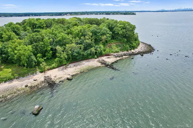 a view of a garden with a building in the background
