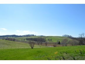 1061 Conklin Road Jonesborough, TN 37659 - Photo 19 of 24 Fantastic views