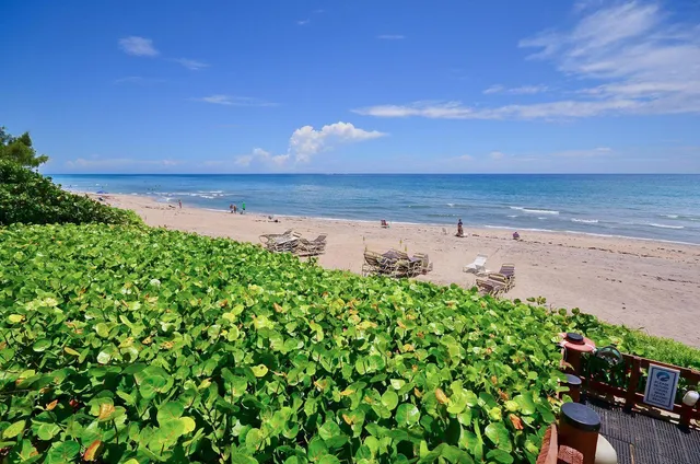 a view of a beach with a city view