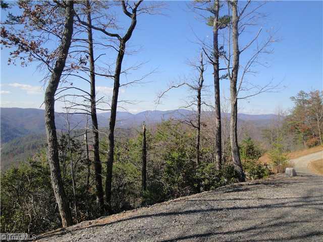 141 A Hickory Holw Road Purlear, NC 28665 - Photo 1 of 2 View.