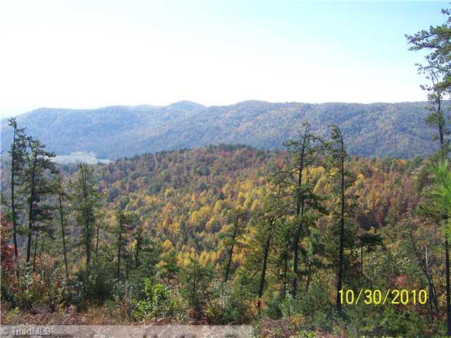 141 A Hickory Holw Road Purlear, NC 28665 - Photo 2 of 2 View.