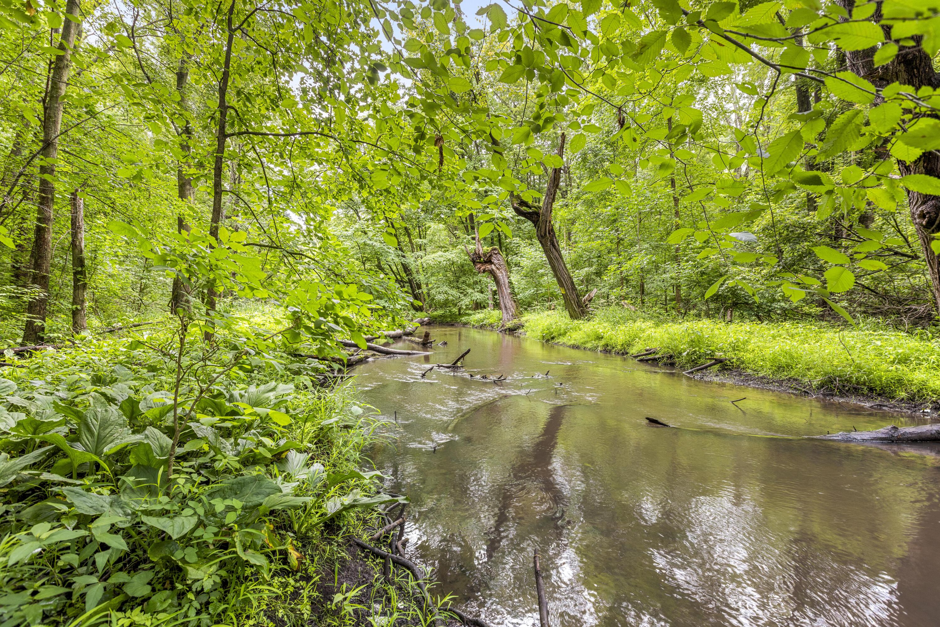 2900 Noon Road Jackson, MI 49201 - Photo 33 of 38 _P7A7188_E