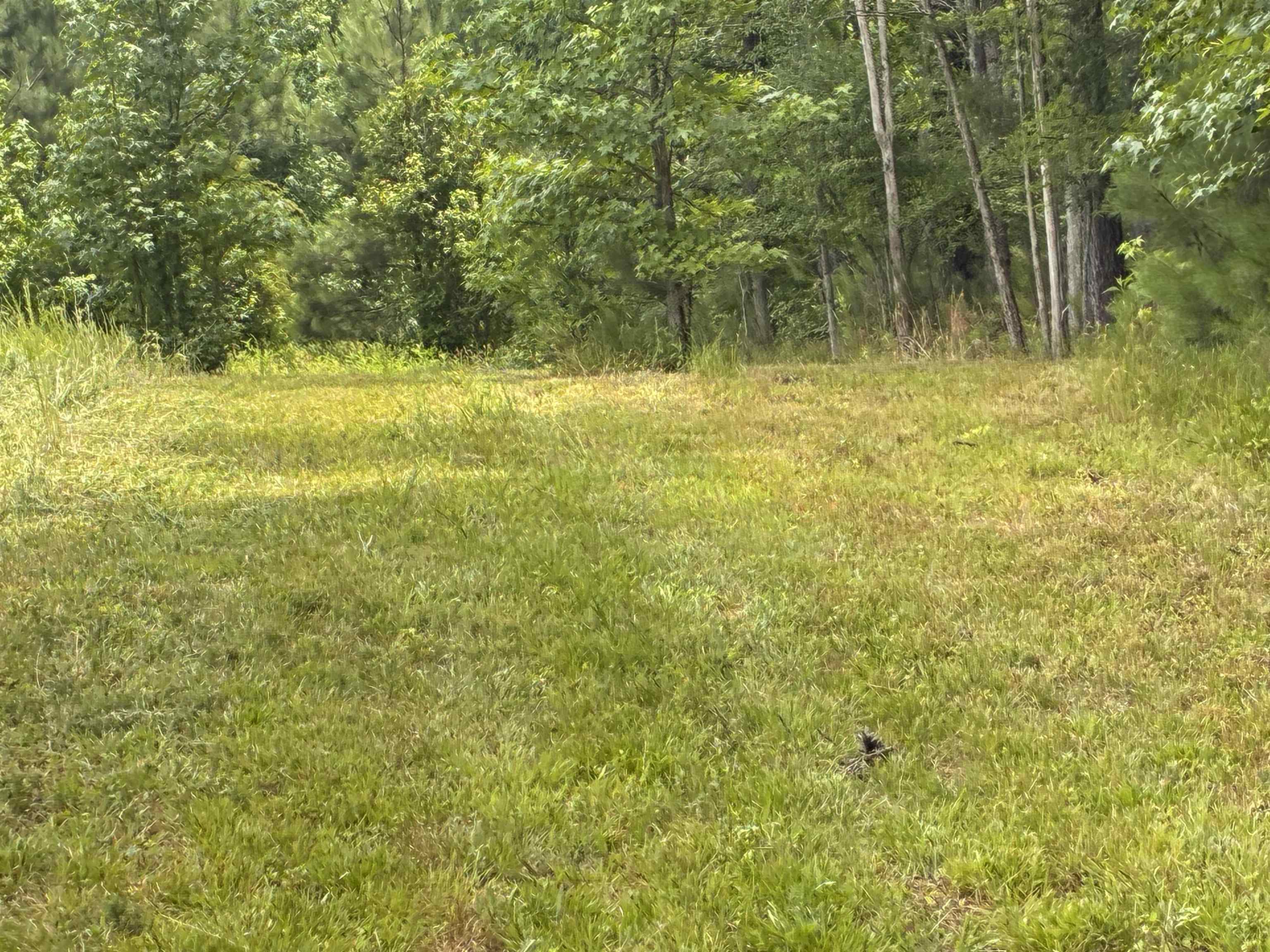 Lot 2 State Rd S-11-54 Gaffney, SC 29340 - Photo 10 of 13