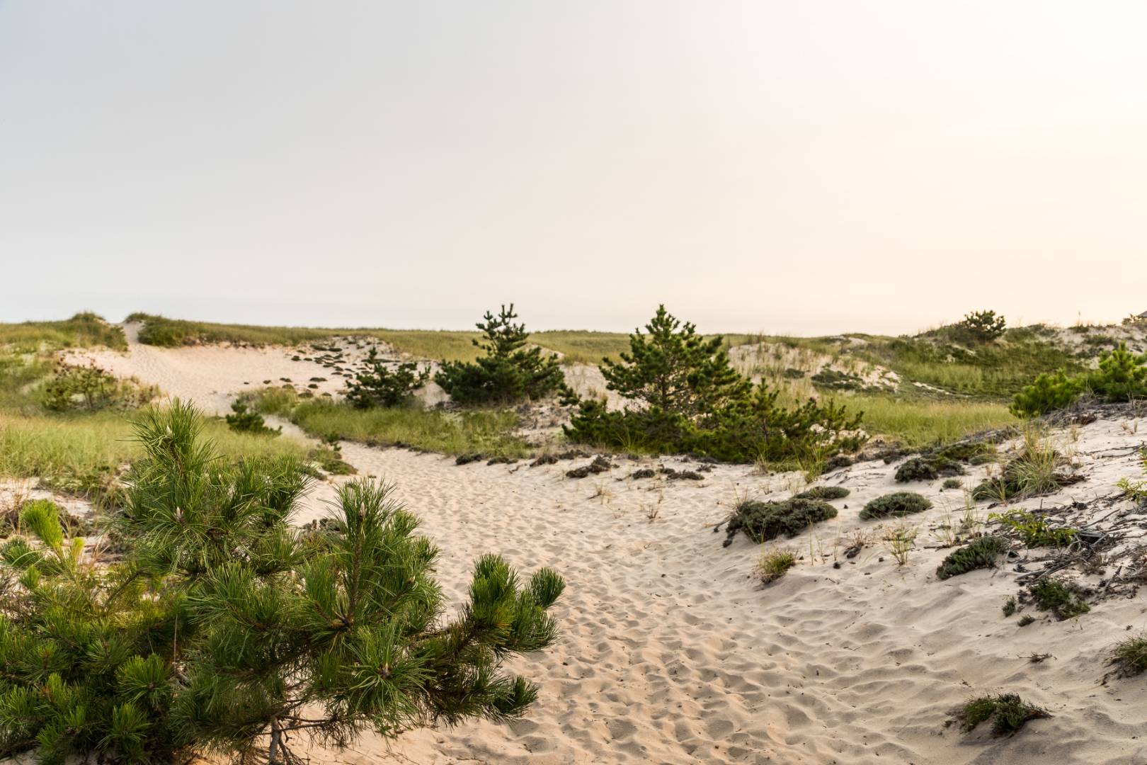 154 Cranberry Hole Road Amagansett, NY 11930 - Photo 22 of 27