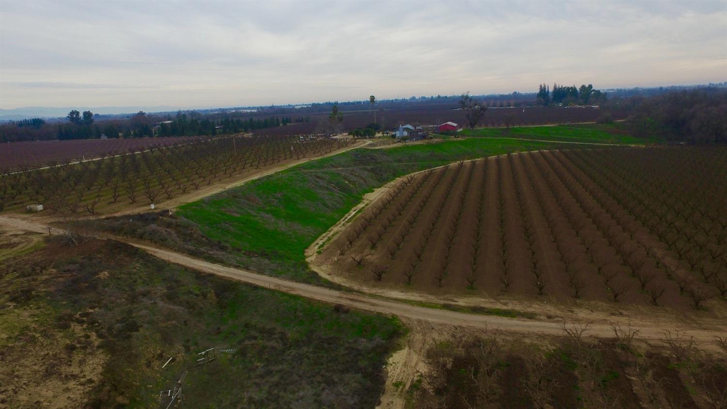 0 South Reed Avenue Reedley, CA 93654 - Photo 3 of 21 Gallery Image 3