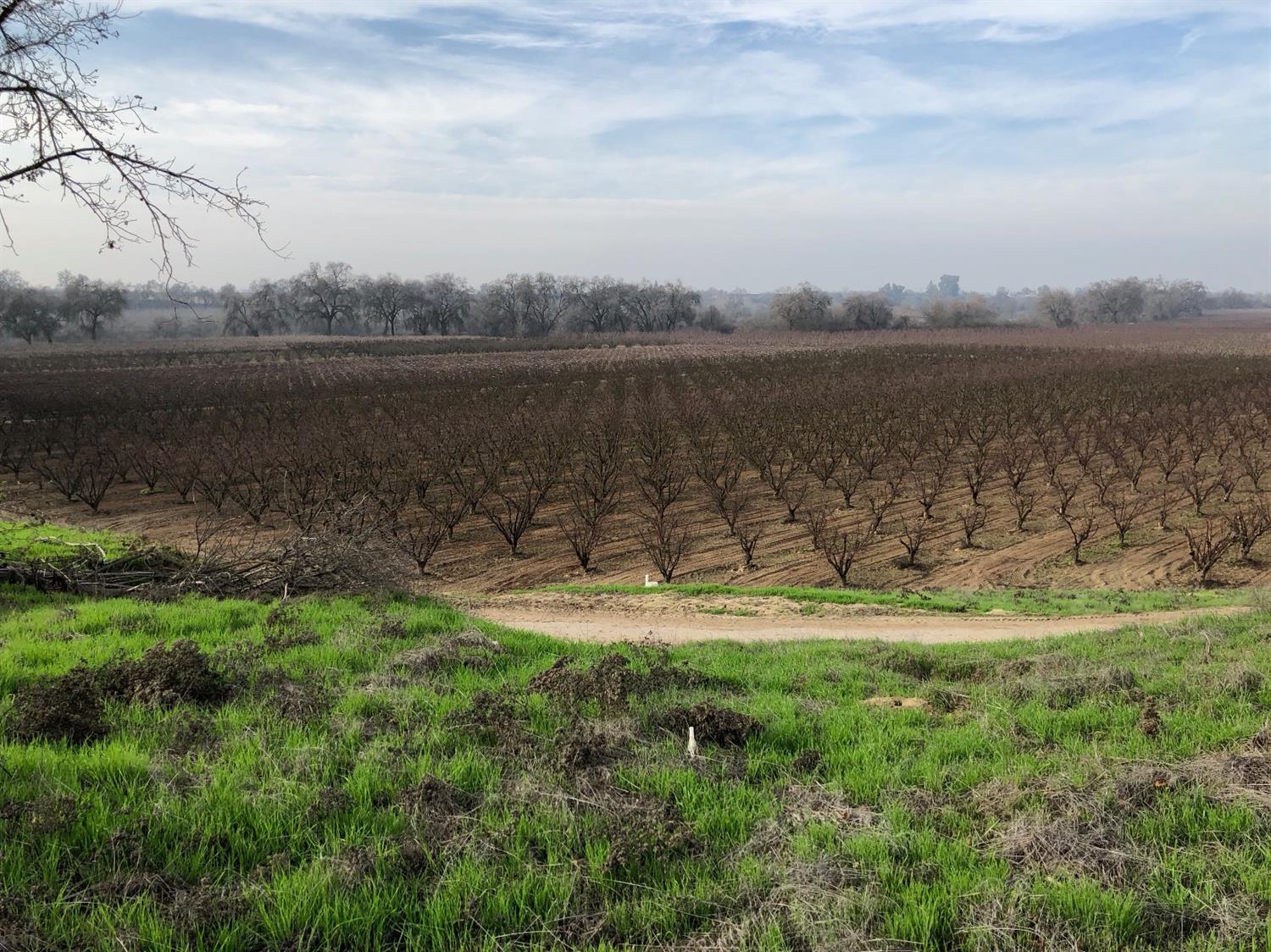 0 South Reed Avenue Reedley, CA 93654 - Photo 7 of 21 Gallery Image 7