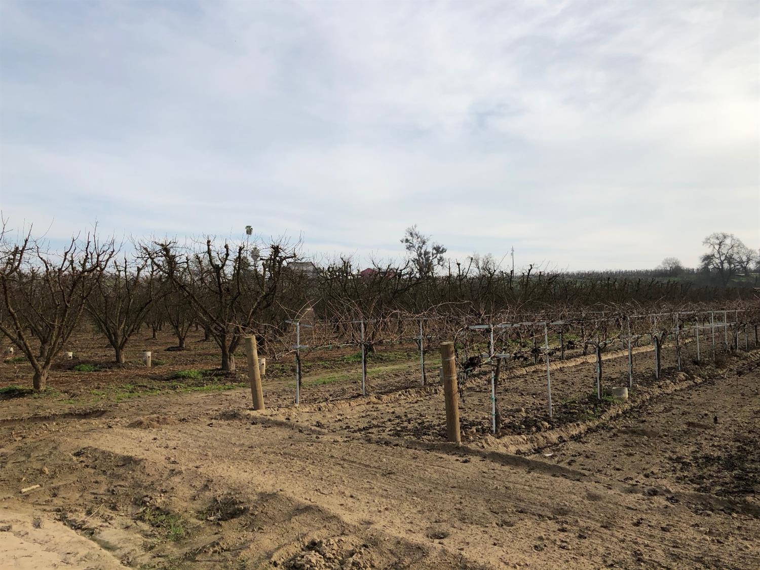 0 South Reed Avenue Reedley, CA 93654 - Photo 10 of 21 Gallery Image 10