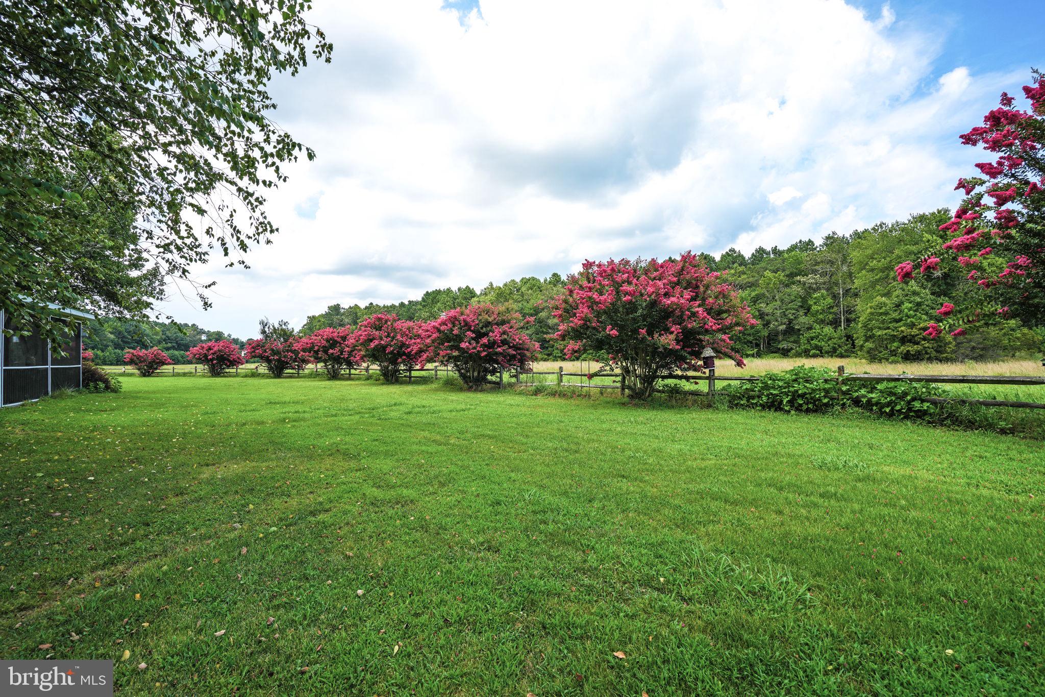 25367 Messongo Road Temperanceville, VA 23442 - Photo 84 of 107