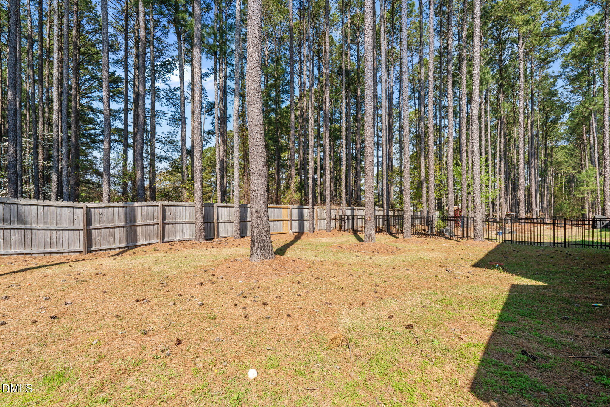 157 Timber Skip Drive Spring Lake, NC 28390 - Photo 38 of 44 a view of backyard with large trees