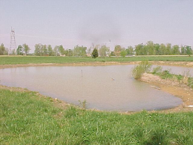 6554 Greenville Road Sharon Grove, KY 42280 - Photo 3 of 7 Gallery Image 3