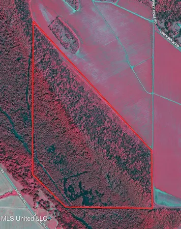 $610,000 | West Lee Drive Drive, Clarksdale, MS 38614