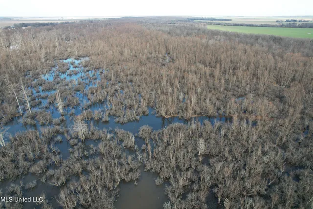 $610,000 | West Lee Drive Drive, Clarksdale, MS 38614