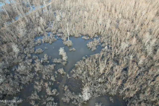 $610,000 | West Lee Drive Drive, Clarksdale, MS 38614