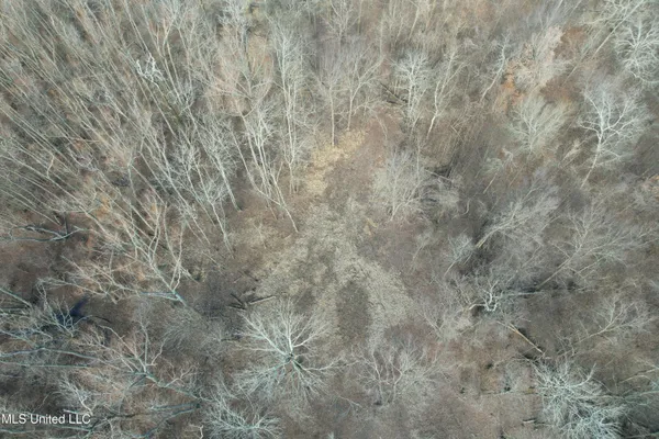 $610,000 | West Lee Drive Drive, Clarksdale, MS 38614