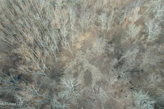 $610,000 | West Lee Drive Drive, Clarksdale, MS 38614