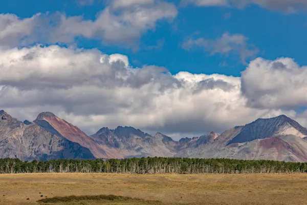 a view of a house with a yard and a large tree
