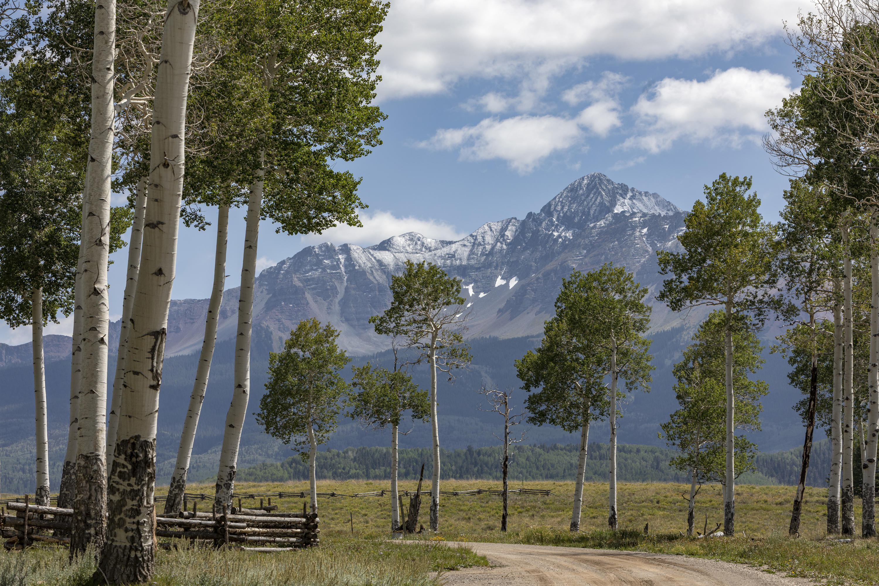 Tbd East Anderson Road Placerville, CO 81430 - Photo 4 of 9 a view of street