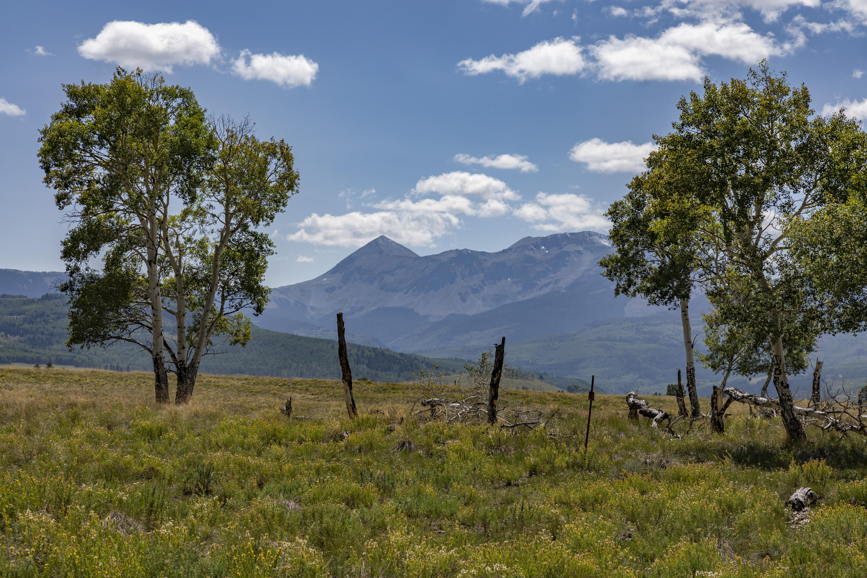 Tbd East Anderson Road Placerville, CO 81430 - Photo 5 of 9 a view of a yard