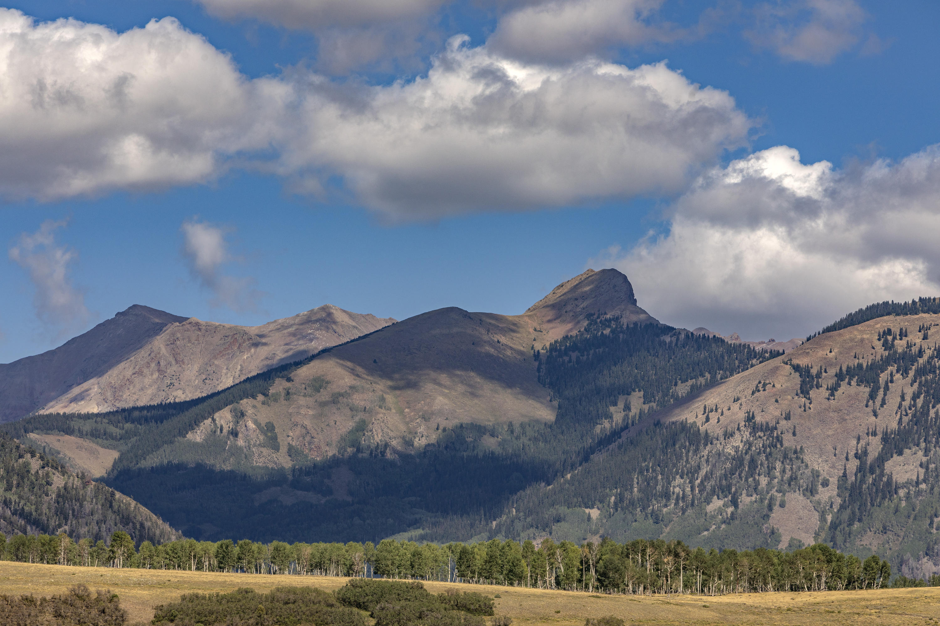 Tbd East Anderson Road Placerville, CO 81430 - Photo 6 of 9 a view of a sky