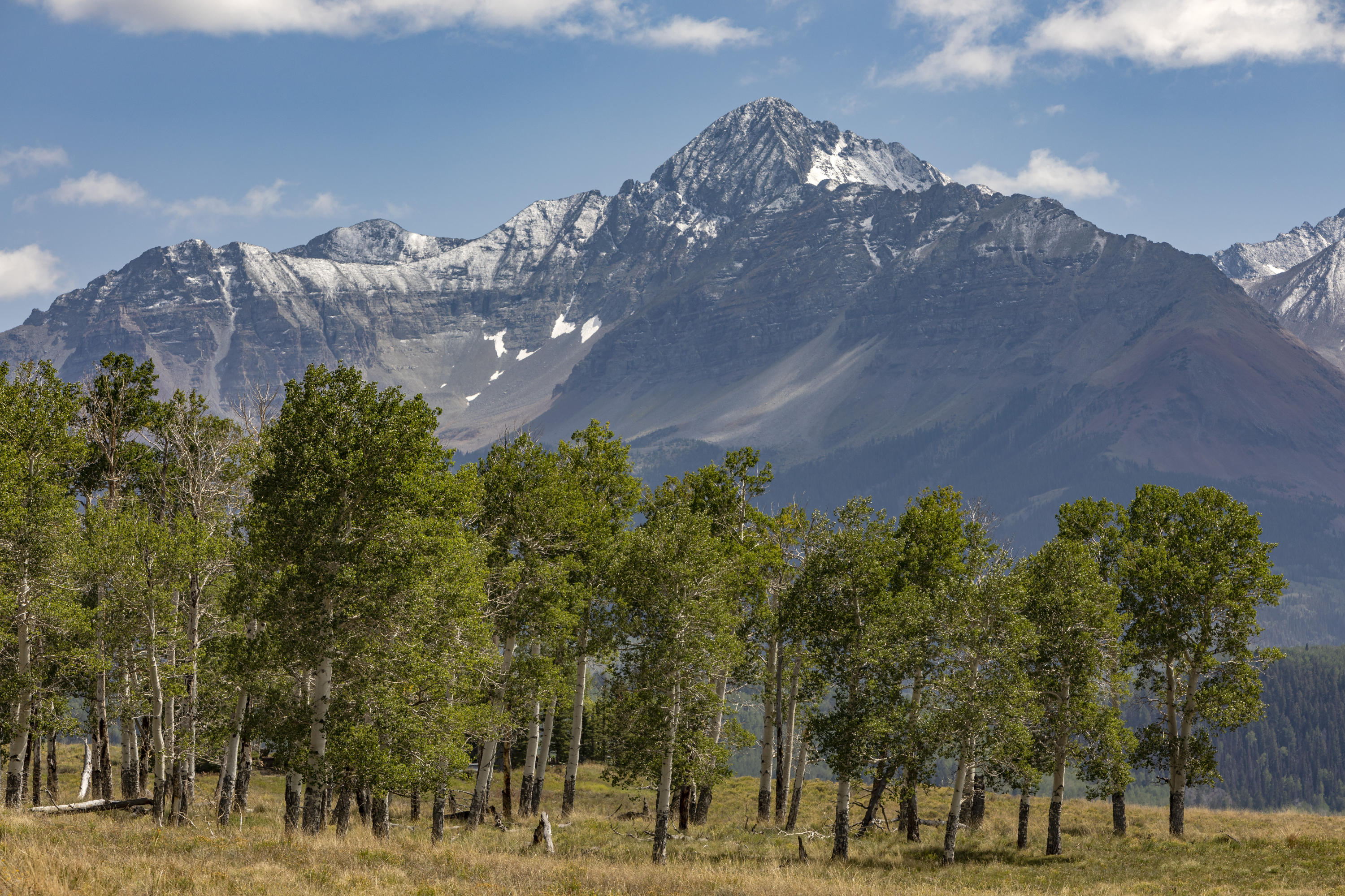 Tbd East Anderson Road Placerville, CO 81430 - Photo 7 of 9 a view of a city