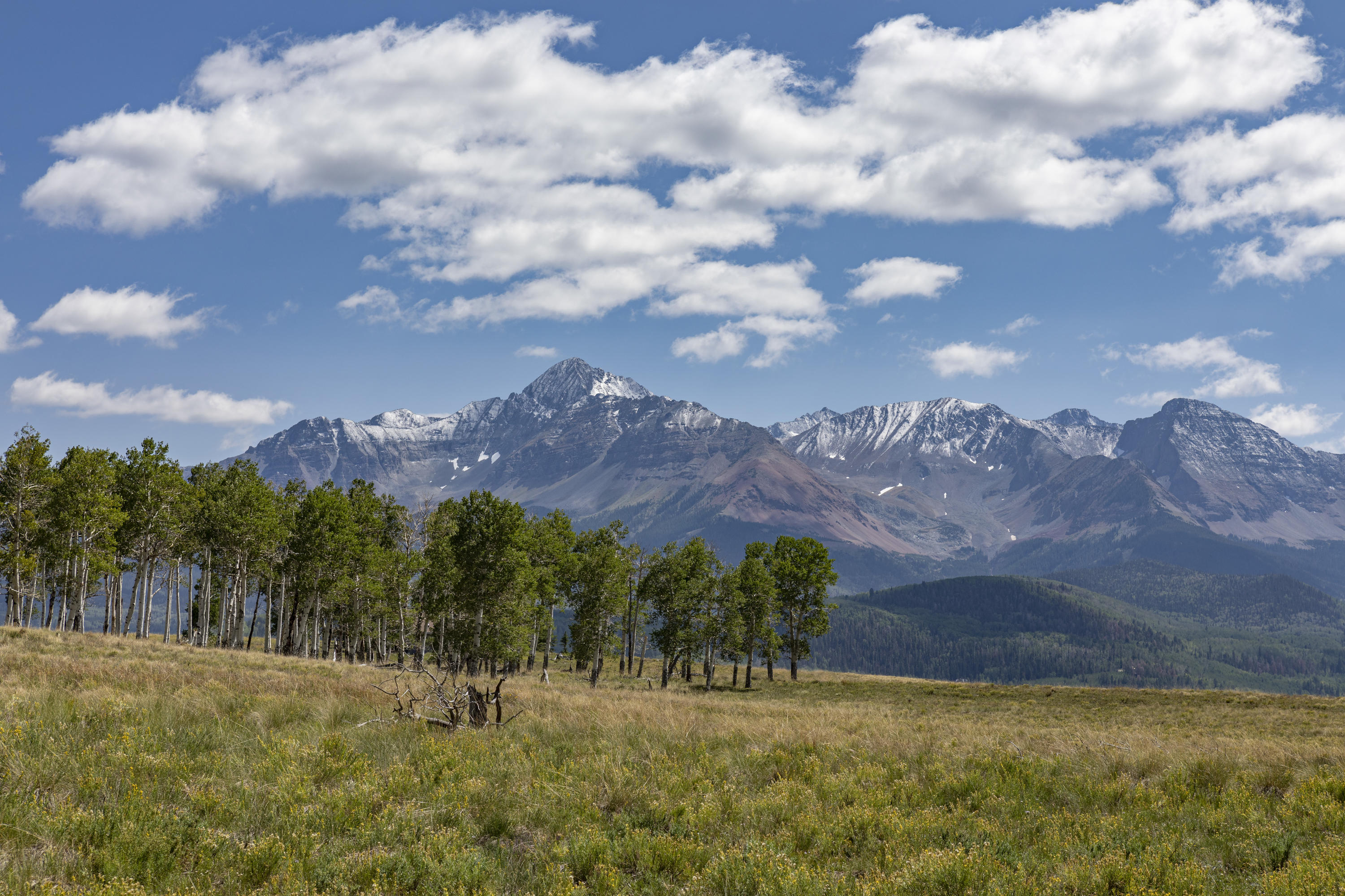Tbd East Anderson Road Placerville, CO 81430 - Photo 9 of 9 a view of a city with green space