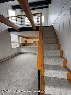 $10,000 | 605 East Main Street, Unit 9, Aspen, CO 81611