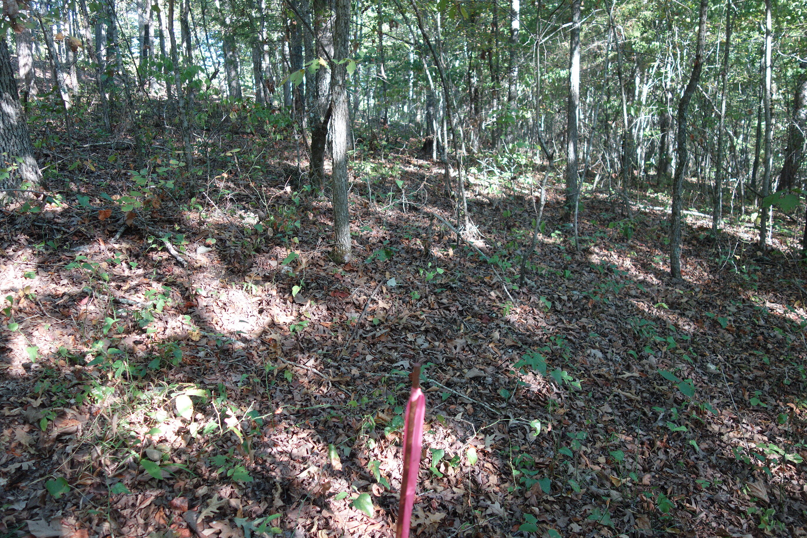 18698 Center Road Eminence, MO 65466 - Photo 21 of 25 DSC03046