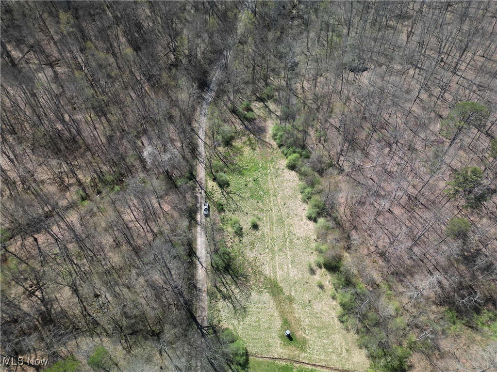 Rush Run Road Arnoldsburg, WV 25234 - Photo 1 of 11 Gallery Image 1