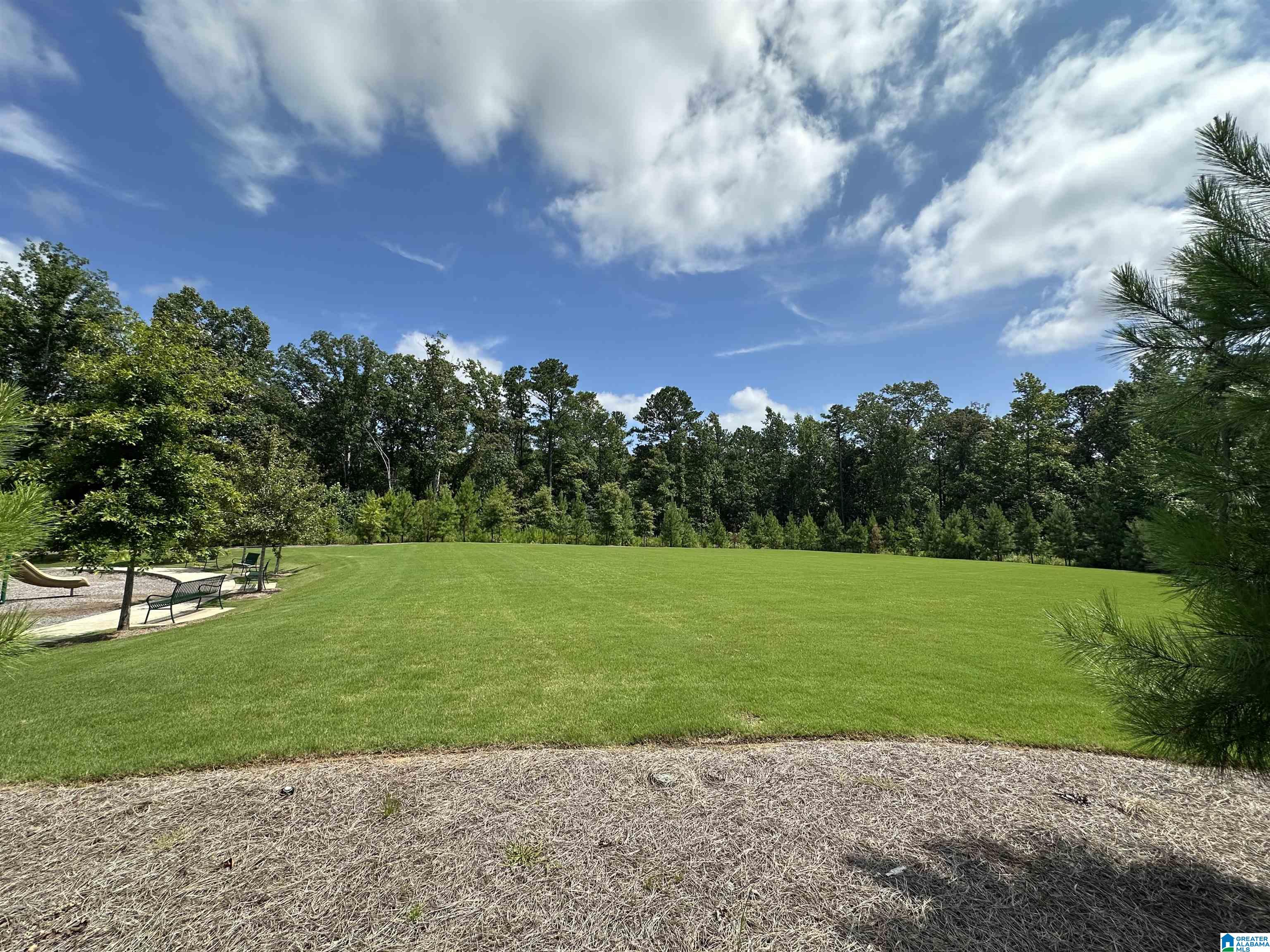 1014 Unali Townes Loop East Leeds, AL 35094 - Photo 29 of 33