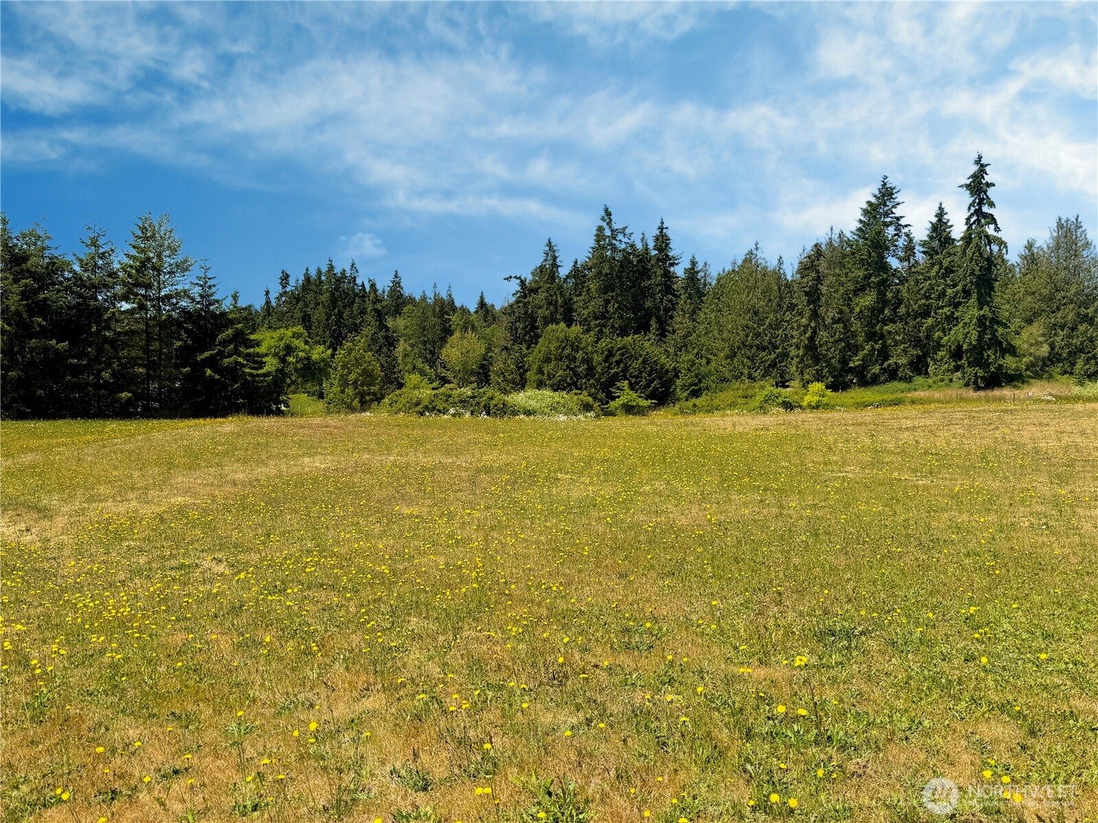 10 Davenhill Lane Sequim, WA 98382 - Photo 37 of 39 a view of an ocean and a yard